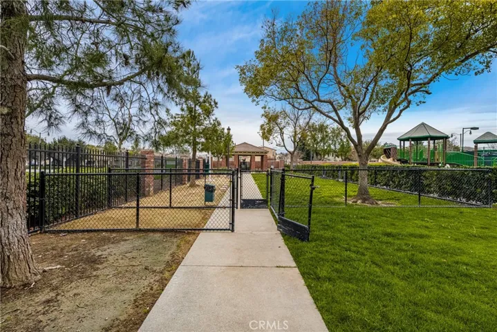 Dog Park