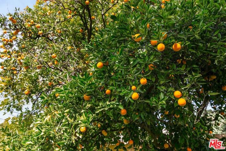 104 W Loma Alta Drive, Altadena, California 91001
