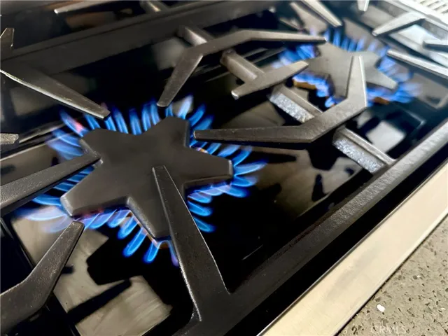 Gas Stove