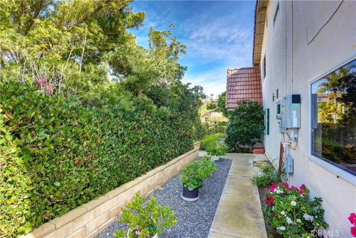 Side yard