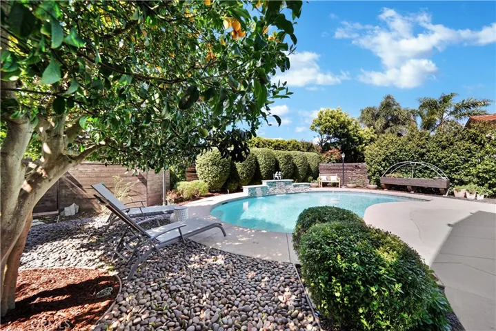 Lush backyard with fruit trees