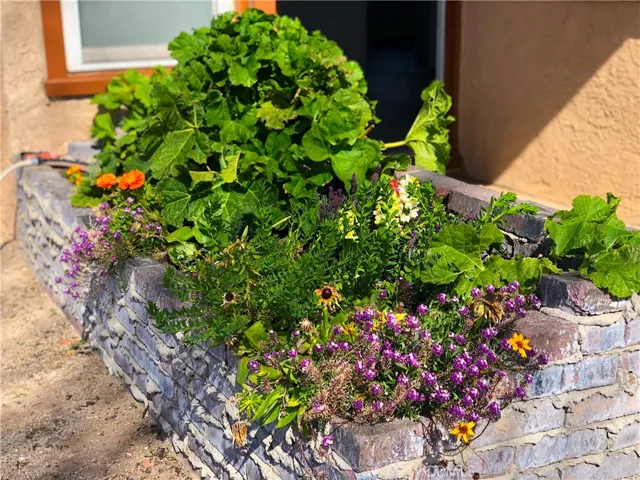 Entryway Garden