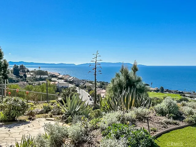Catalina View