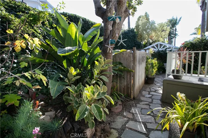 back yard