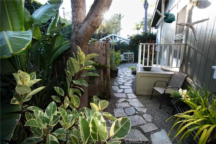 back yard
