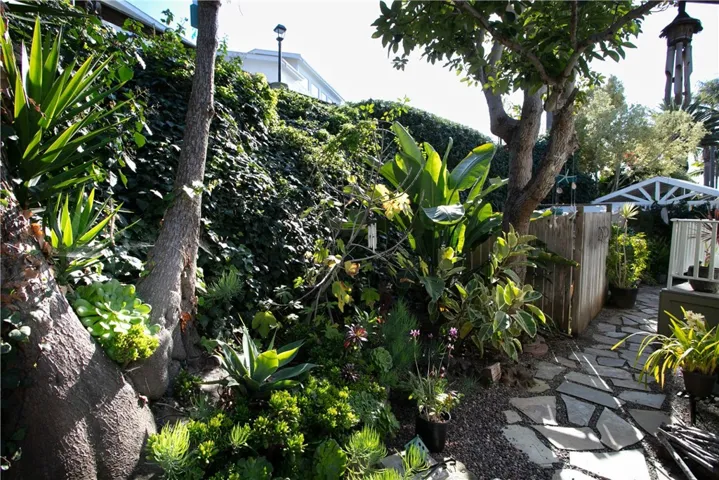 back yard