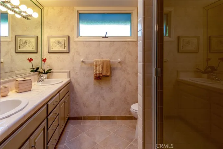 Full bath with skylight