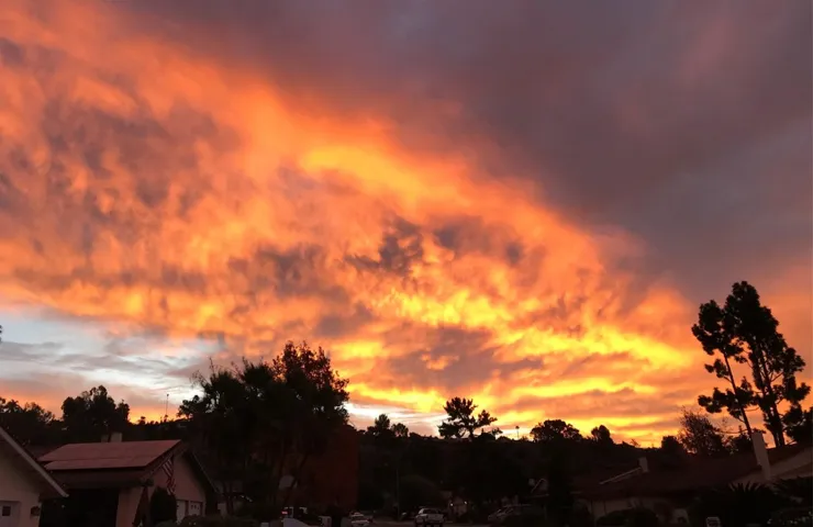 Your special view from most evenings!