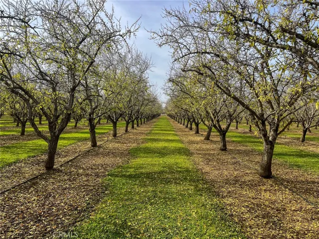 2854 Illinois Avenue, Corning, California 96021