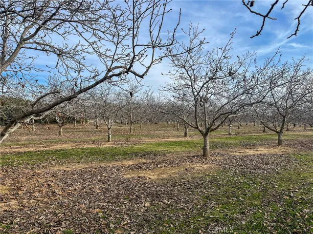 2854 Illinois Avenue, Corning, California 96021
