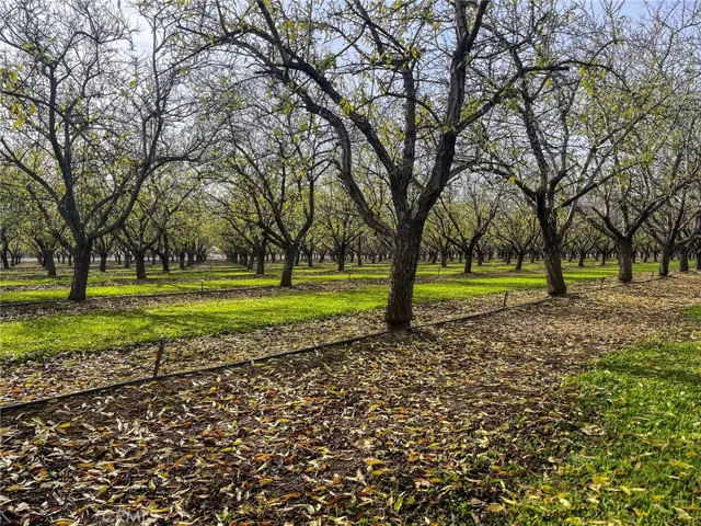 2854 Illinois Avenue, Corning, California 96021