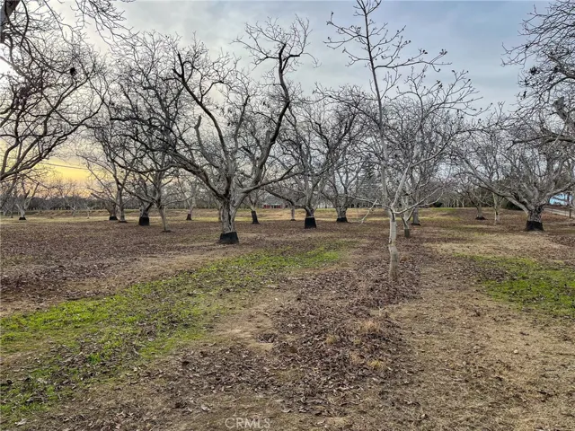 2854 Illinois Avenue, Corning, California 96021