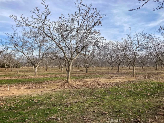 2854 Illinois Avenue, Corning, California 96021