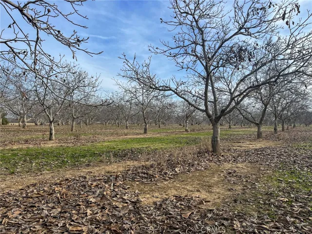 2854 Illinois Avenue, Corning, California 96021