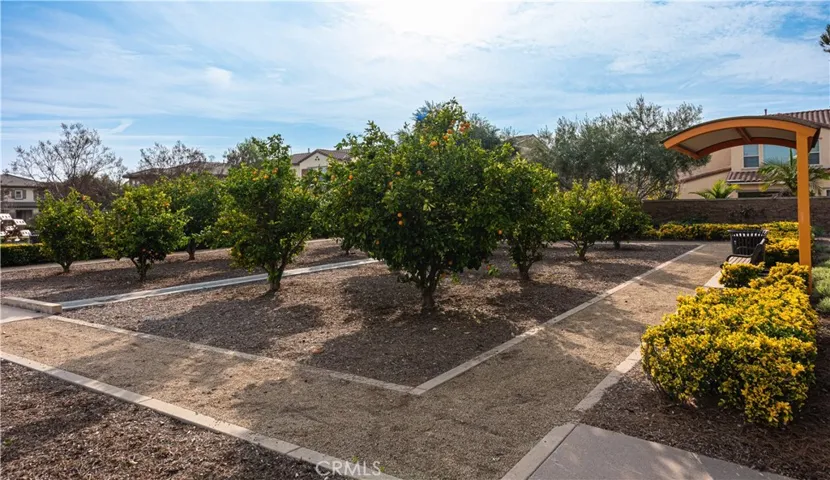 HARVEST PARK