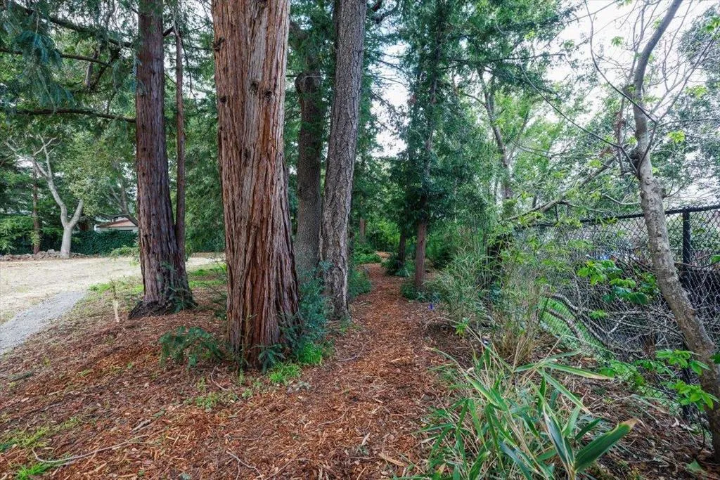 848 Edgewood Road, Redwood City, California 94062 home-pic-12