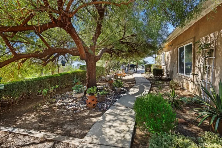 Side Yard