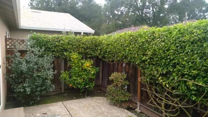 Flora Vista Avenue, Sunnyvale, California 94086
