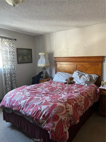 1101 Evergreen Road, Wrightwood, California 92397
