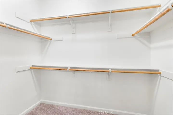 Primary bathroom closet