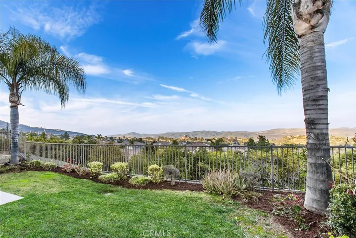Backyard view