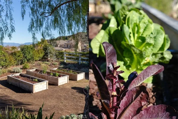 30161 Valley Glen Street, Castaic, California 91384