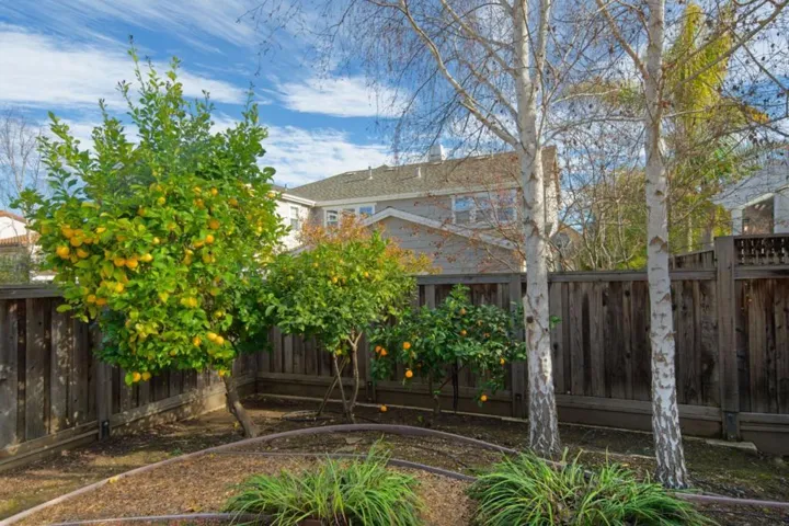 6598 Broadacres Drive, San Jose, California 95120