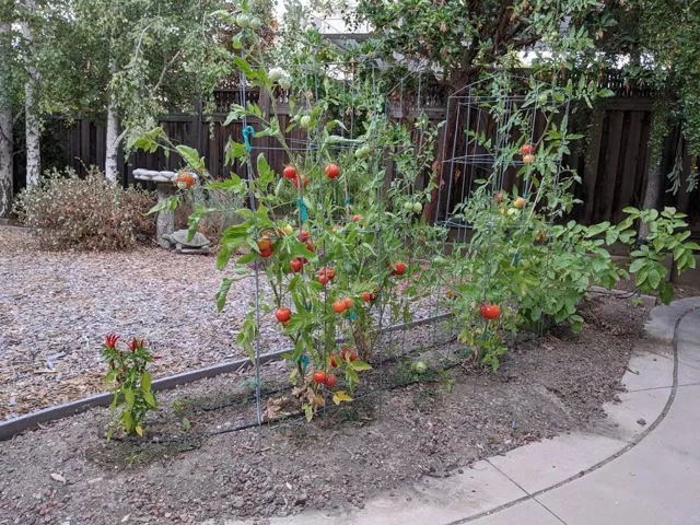 6598 Broadacres Drive, San Jose, California 95120