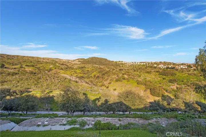 View from backyard