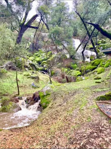 Seasonal Creek & Waterfall