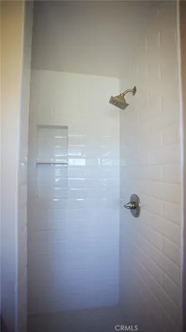 Beautiful Remodeled Shower