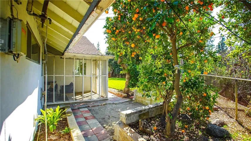 Loads of fruits trees which include 3 persimmon, 2 tangerine, grapefruit, orange and avocado trees