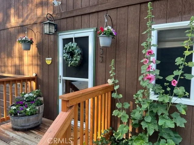 9333 Canyon Drive, Forest Falls, California 92339