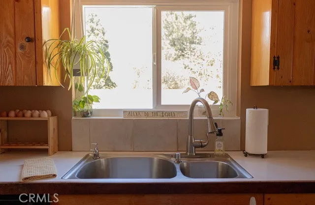 9333 Canyon Drive, Forest Falls, California 92339