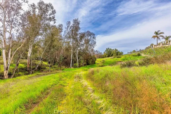 Back road on property