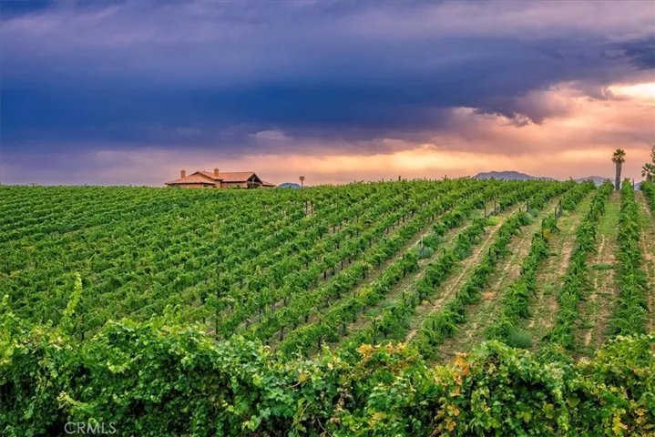 39695 Camino Del Vino, Temecula, California 92592