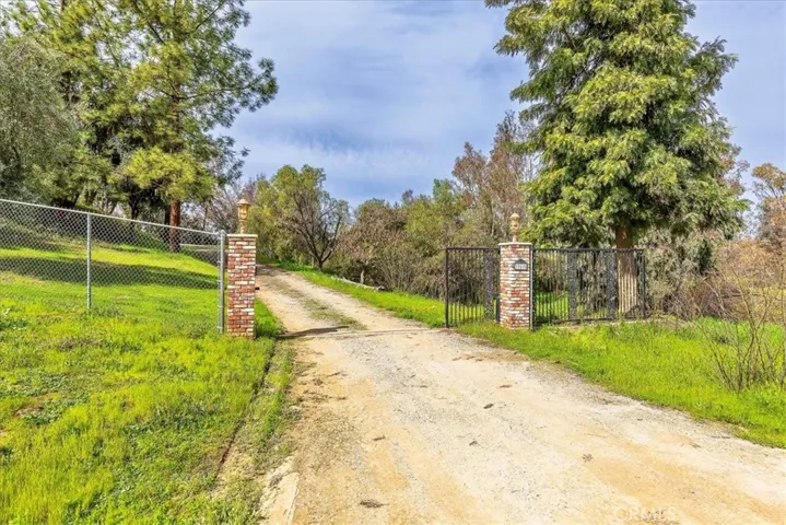 Electric Gate