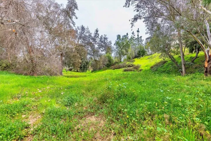 Pasture