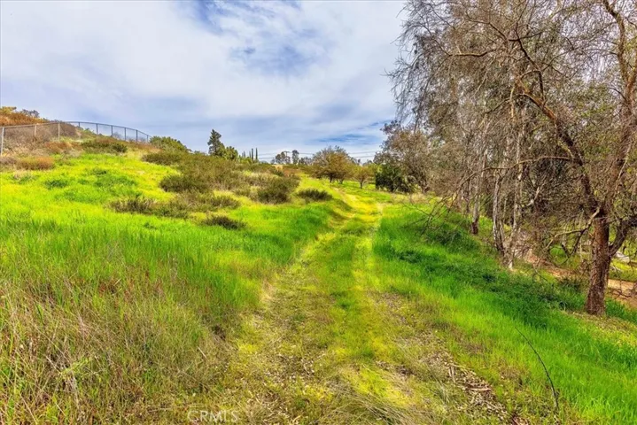 Road At Rear Of Property/ Fence Line