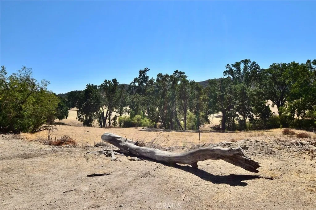76980 San Antonio Road, Bradley, California 93426 home-pic-49