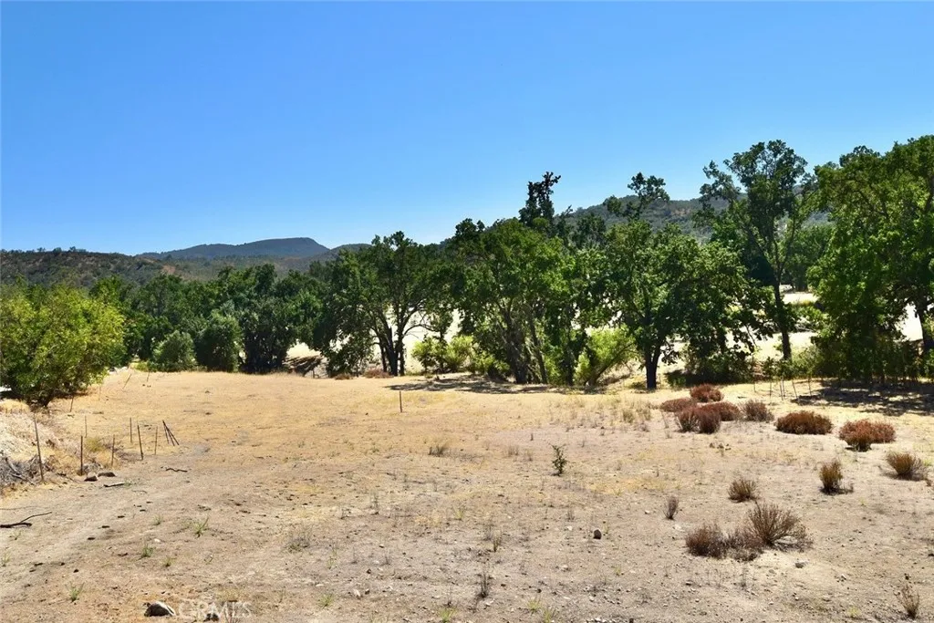 76980 San Antonio Road, Bradley, California 93426 home-pic-50
