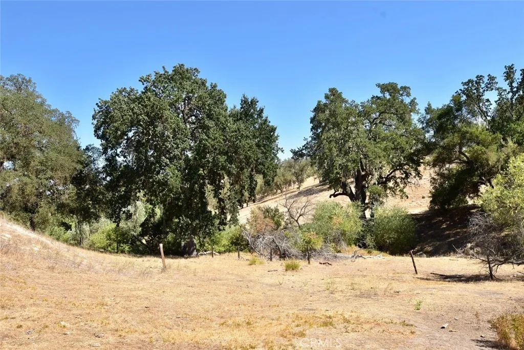 76980 San Antonio Road, Bradley, California 93426 home-pic-51