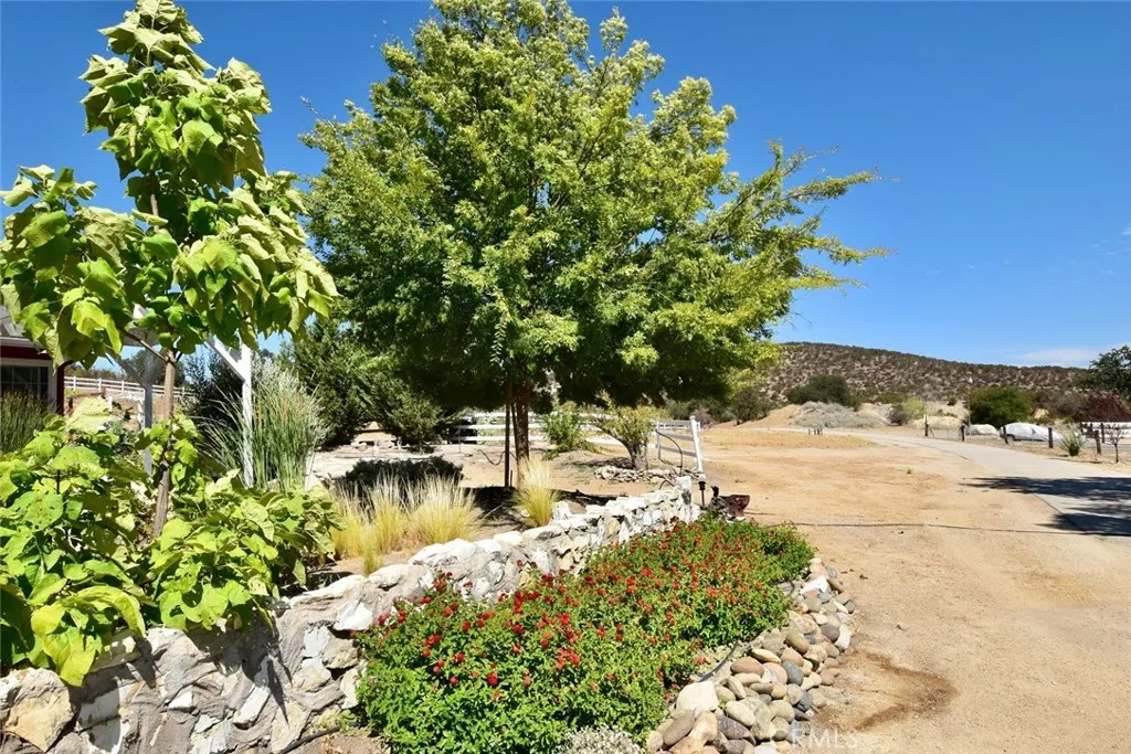 76980 San Antonio Road, Bradley, California 93426 home-pic-42
