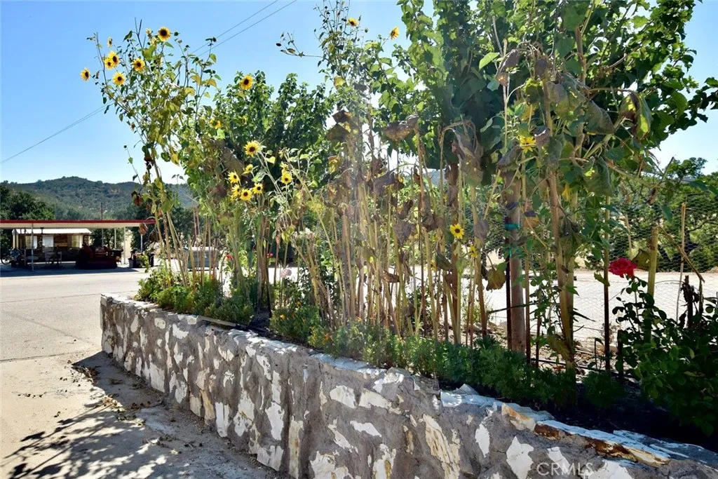 76980 San Antonio Road, Bradley, California 93426 home-pic-38