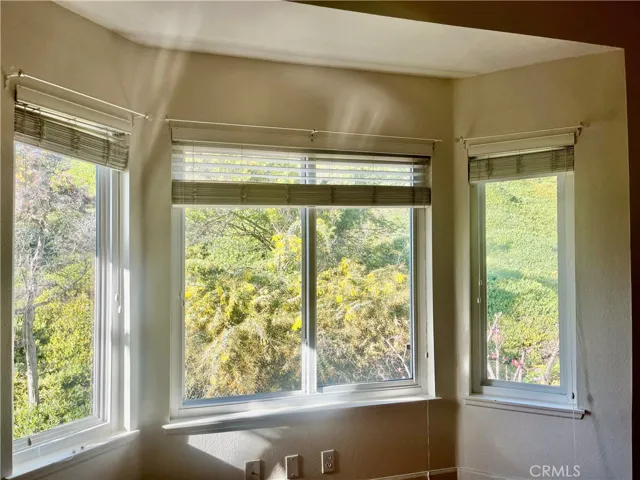 24981 Danafir, Dana Point, California 92629