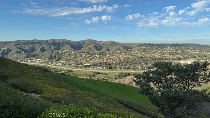 View from backyard
