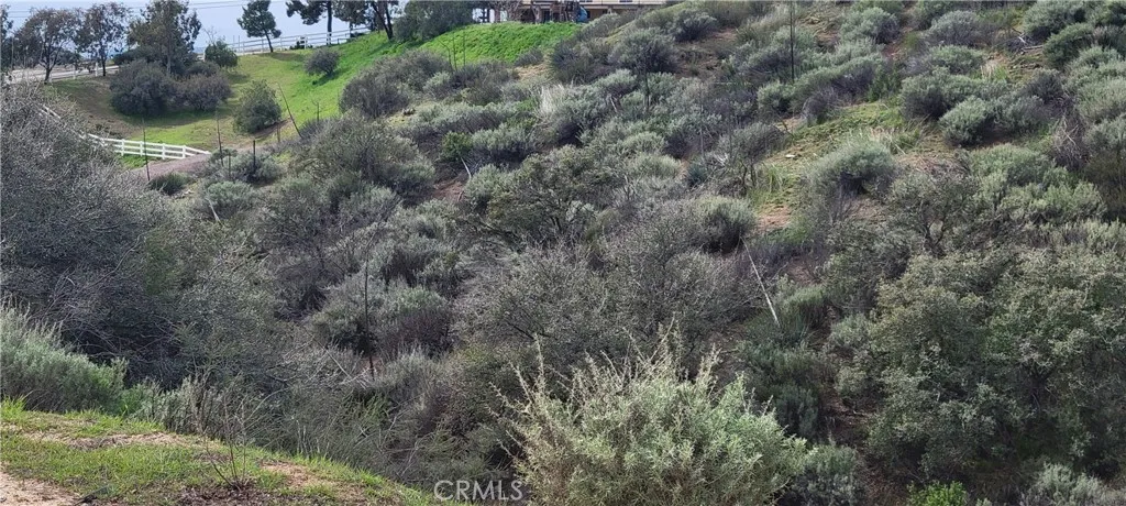 0 Vac/Vic Woolsey Rd/Chickadee Court, Agua Dulce, California 91350
