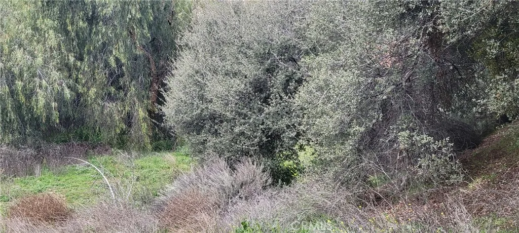 0 Vac/Vic Woolsey Rd/Chickadee Court, Agua Dulce, California 91350