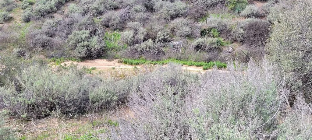 0 Vac/Vic Woolsey Rd/Chickadee Court, Agua Dulce, California 91350