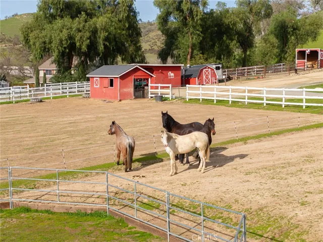 Big front pasture